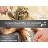 Pfotenschere Hunde Fellscheren Set Scharfe Schnittflächen 2 abgerundete Scheren 9