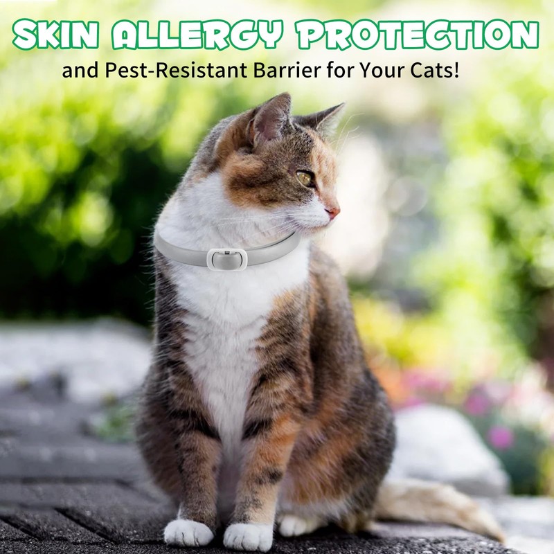 Collare Antipulci per Gatti - Collare Antiparassitario Naturale per Gatti