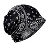 Rex Standard CH080 Knit Hat, Paisley Pattern, Neck Warmer Cap,