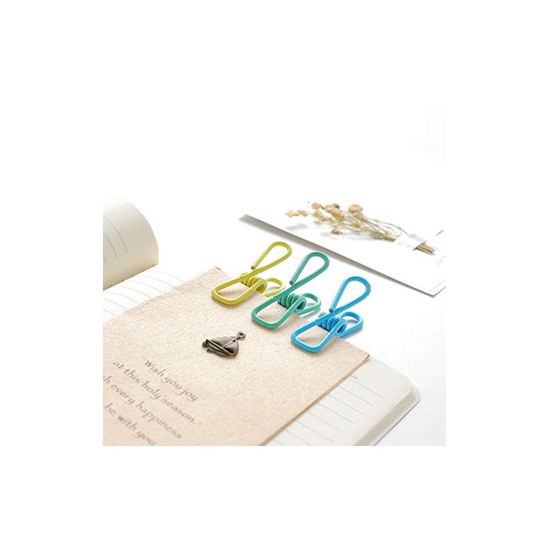 Clips,10 PCS Assorted Clips Utility - PVC 2Inch,Clip for Laundry