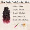 Lanse Gogo Curl Crochet Hair 14 Inch 8 Packs Ocean