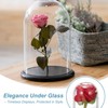 uxcell Glass Cloche Display Dome, 7.4" x 3.9" Glass Dome