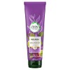 Herbal Essences Bio Renew Passion Flower & Rice Milk Conditioner,