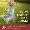 Sedgehammer Plus Turf Herbicide - 1 Pack of 13.5 Gram