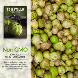 Survival Garden Seeds - Toma Verde Tomatillo Seed for Planting - 5 Packs with Instructions to Plant & Grow Green Salsa Vegetables in Your Home Vegetable Garden - Non-GMO Heirloom Variety