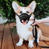 YAODHAOD Nylon Mesh Breathable Dog Mouth Cover, Quick Fit Dog