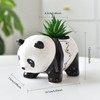 Half Forest Panda Ceramic Flower Pot Succulent Pots Creative Cartoon