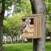 Owl House Premium Wooden Bird House Kit - Cedar Owl