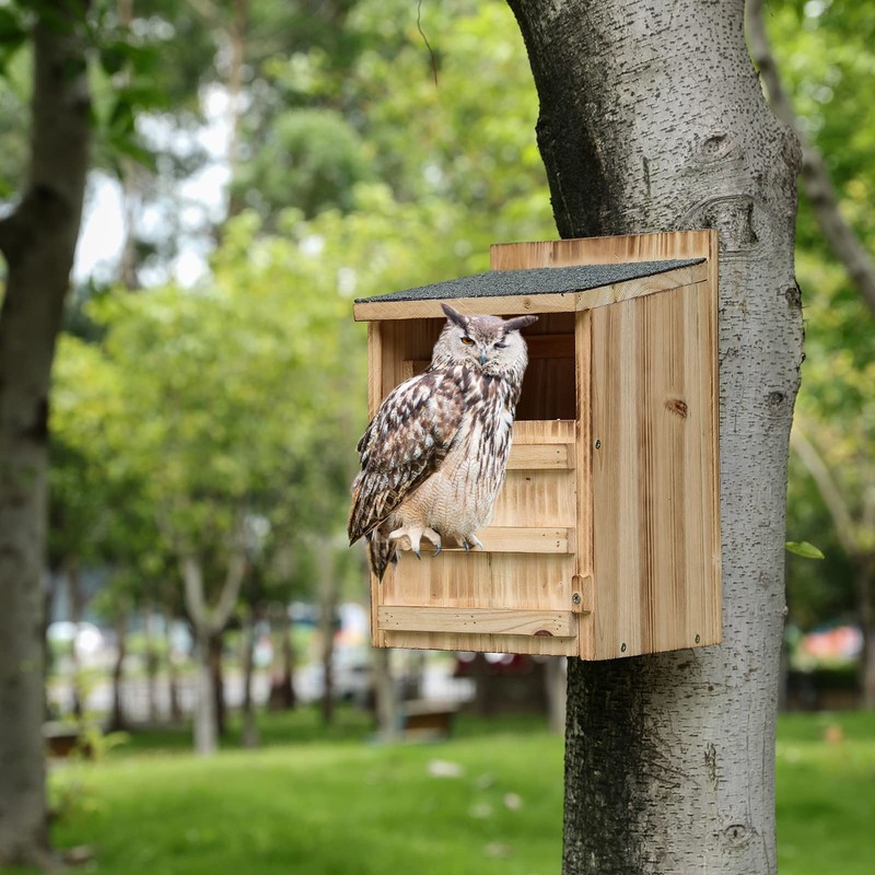 Owl House Premium Wooden Bird House Kit - Cedar Owl