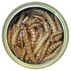 Canned Superworms 1.2 oz (6 Pack) - Healthy High Protein