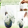 MIIIM 4 Pcs Self-Watering Moss Poles, D Shape Moss Pole