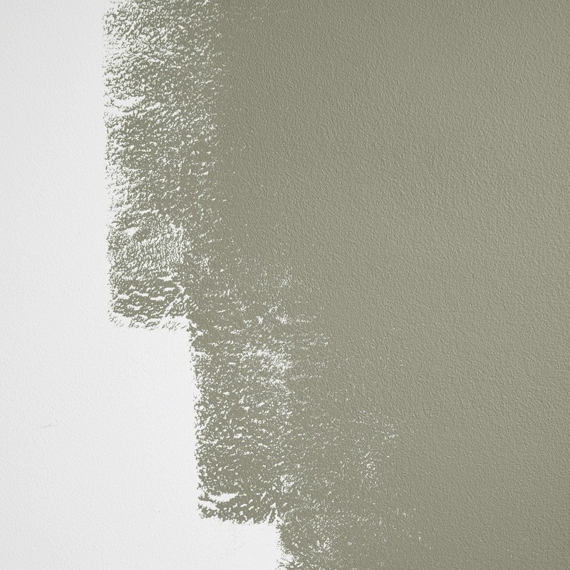 BACKDROP | Premium Interior Paint | Large Adhesive Paint Swatch