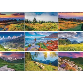 Pierre Belvédère - 1000 Piece Puzzle with Poster - Escape - 68 x 48 cm - The Jigsaw Family Puzzle Table Game - 650413