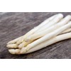 Exotic White Asparagus Seeds for Planting - 100+ Seeds -