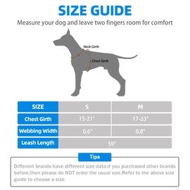 PUPTECK No Pull Dog Harness Soft Adjustable Basic Nylon Step in Puppy Vest Outdoor Walking with Leash