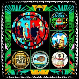 HOOTIE AND THE BLOWFISH BAND EXCLUSIVE SET OF FIVE LARGE PINS