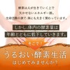 【3袋セット】うるおい生酵素 サプリ コラーゲン ヒアルロン酸 コンブチャ 乳酸菌 酵素80種