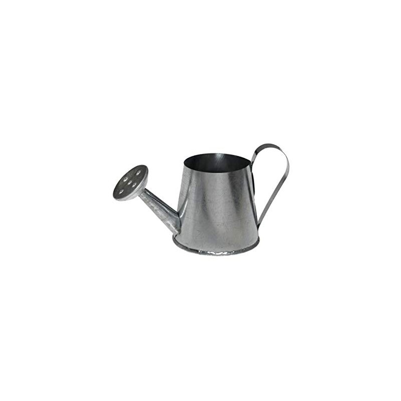 Santex 5281 4 Bag with 2 Arrosoirs Metal 5 cm