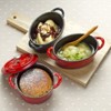 Ishigaki Cast Iron Two-Handled Pot, 3.5 inches (9 cm), Width