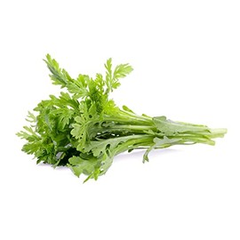 1 packet (1000+ seeds) - Chrysanthemum - Tong Ho - Tan O - Seeds