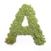Moss Letter Iceland Moss ABC Letters with Moss (A, 30
