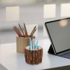 2Pcs Wood Tree Pencil Holder Funny Pen Cup Rustic Pencil