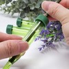 Floral Water Picks 4.75" by LifeStyle Channel, 30 Pack Green