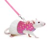 Stock Show Small Pet Outdoor Walking Harness Vest and Leash