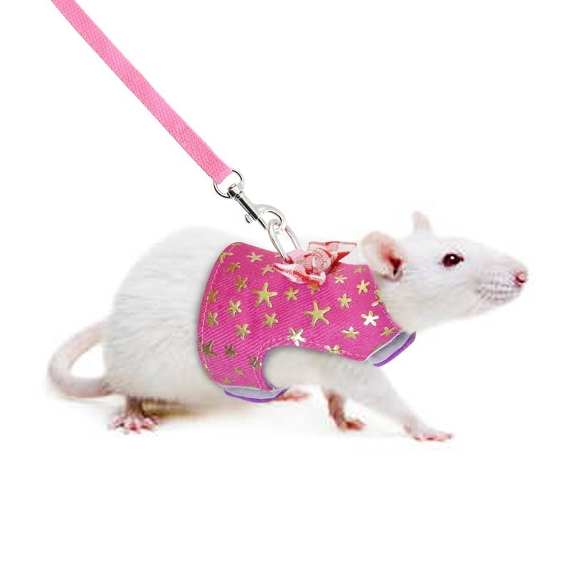 Stock Show Small Pet Outdoor Walking Harness Vest and Leash