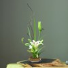 Practical Japanese Round Shape Flower Kenzan Flower Arrangement Holder Needle