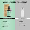 Milk Thistle (Silybum Marianum) Alcohol-Free Mother Tincture - Liquid Extract