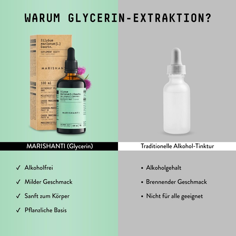 Milk Thistle (Silybum Marianum) Alcohol-Free Mother Tincture - Liquid Extract