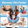 Inflatable Dog Cone Collar After Surgery, Soft Recovery Suit Dog