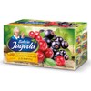 Babcia Jagoda Balckcurrant and Cranbery Tea (40g/1.4oz)