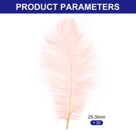 PATIKIL 30 Pcs Natural Ostrich Feathers Bulk 10-12 Inch/ 25-30 cm Large Ostrich Feathers for Crafts Home Decoration Wedding Party Vase Decor (Champagne Color)