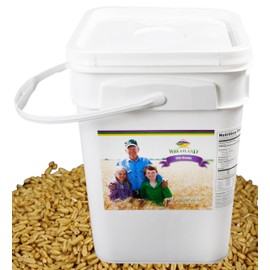 Wheatland Oat Groats • 20 Pound Bucket with Mylar lining • USA Grown • Non-GMO • Lab Tested • Sproutable • Whole Grain • Emergency Food Storage 15 year shelf life