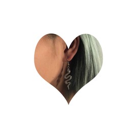 Inateannal Punk Snake Drop Earrings Silver Snake Stud Earrings Gothic Animal Snake Earrings Long Snake Hook Earrings Jewellery for Women and Girls