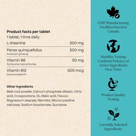 Build My Energy Supplements | Ginseng | L-Theanine | Vitamin B6 | Vitamin B12 | Increase Energy & Resistance to Stress | Tropical Fruit Flavour | 30 tablets