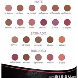 Set/Kit Rubor Blush en Polvo Para Rostro Bissú Nuevo (6 pzas)