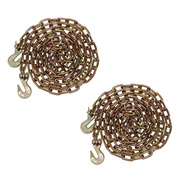 Mytee Products (2 Pack) 1/4" x 12' Transport Binder Chain