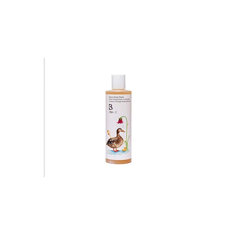 Little B Childrens Hair & Body Wash