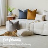 a moment Pack of 2 Rust Stain-Resistant Throw Pillow Covers