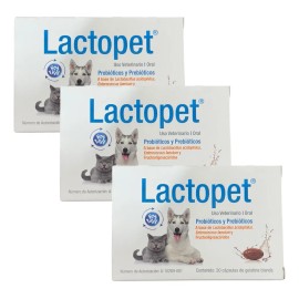 Lactopet Suplemento Nutricional P/ Perro 3 Pack Probióticos