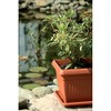 Prosper Plast DKWT30-R624 30 x 30 x 25 cm "Terra"