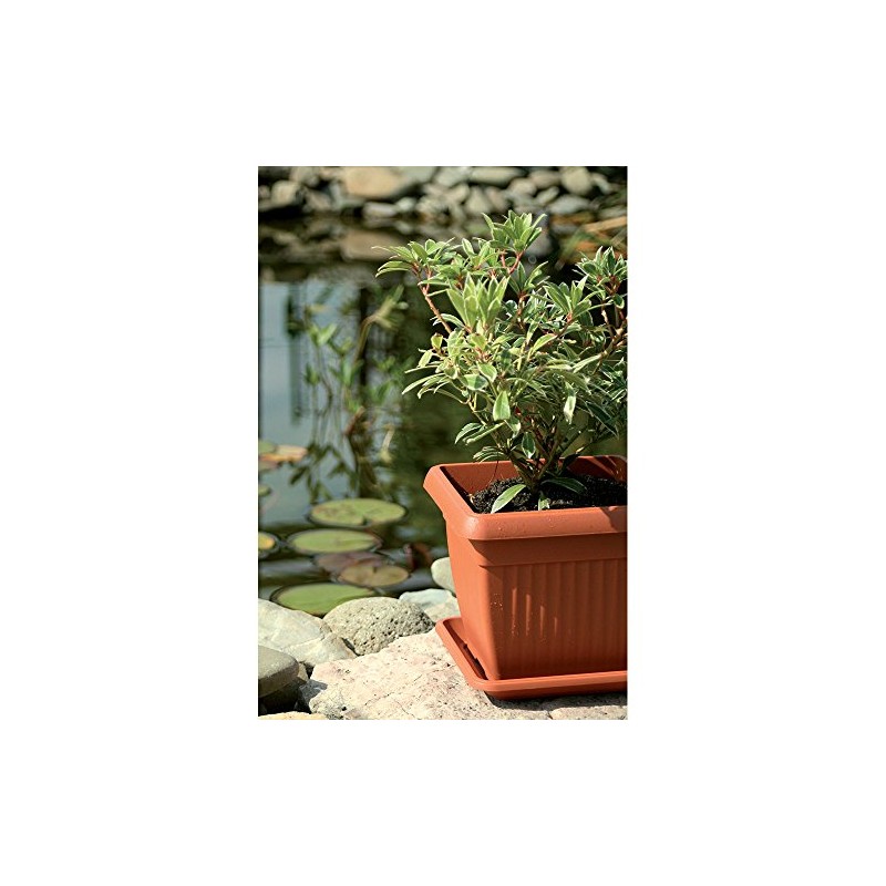 Prosper Plast DKWT30-R624 30 x 30 x 25 cm "Terra"