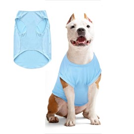 Dog Shirt Summer, Cooling Vests for Dogs, Dog UV Protection T-Shirt, Dog Costume, Dog Shirt Tshirt, Pet T-Shirt for Small, Medium Dogs, Cats, Pet Clothing for Chihuahua, Yorkie (Blue, M)
