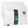 Lileno Home Microfibre Cushion 50 x 70 cm Set of