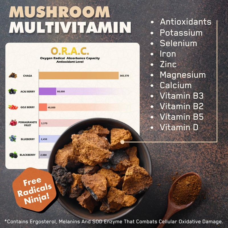 SOLVE Labs® ● Premium Siberian Chaga Extract Powder ● 10%