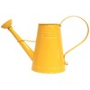 HIT Corp 8566E SAFF Metal Watering can, Saffron