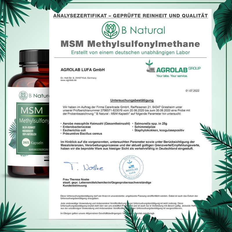 MSM 365 Capsules 99.9% Pure Methylsulfonylmethane High Dose & High